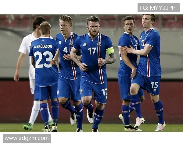 2017年瑞典对阵北爱尔兰精彩回顾与赛后分析